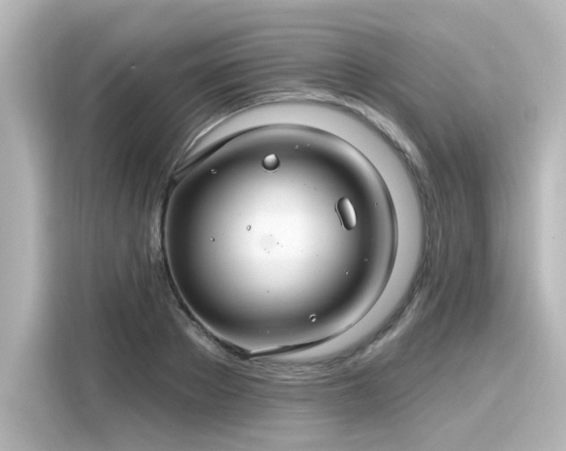 X0000116160889200911301559