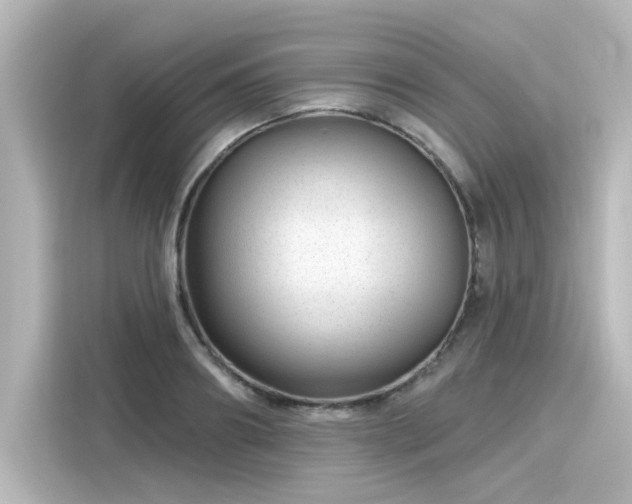 X0000116160890200911301559