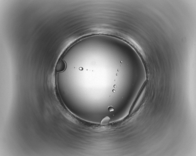 X0000116160891200911301559