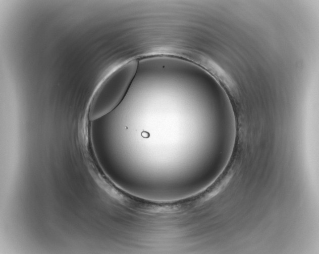 X0000116160892200911301559