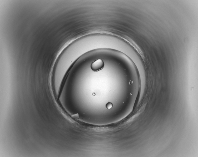 X0000116160893200911301559