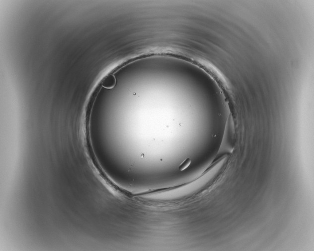 X0000116160894200911301559