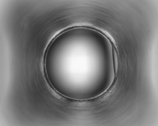 X0000116160895200911301559