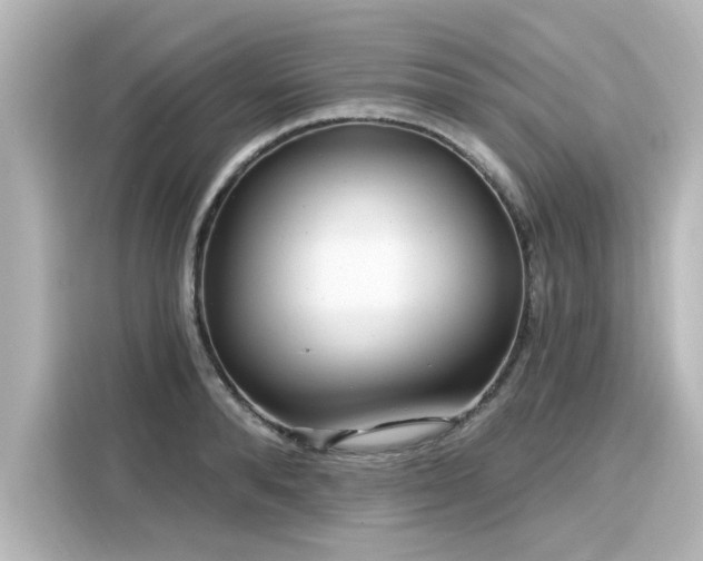 X0000116160896200911301559