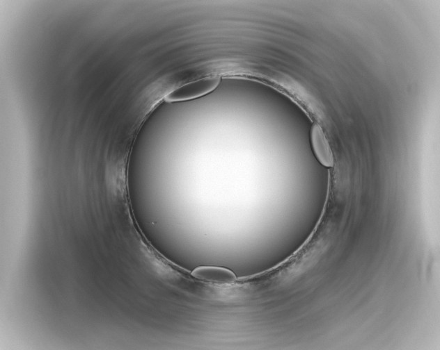 X0000116160897200911301559