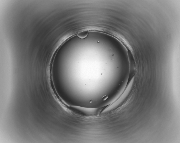 X0000116160898200911301559