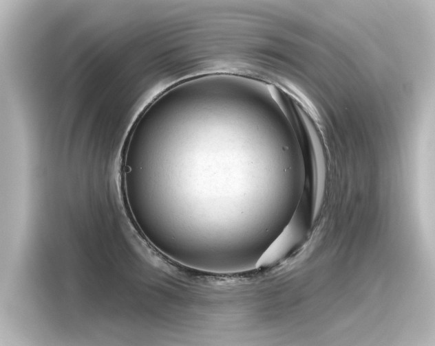 X0000116160899200911301559