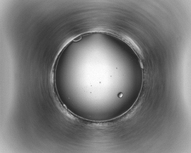 X0000116160900200911301559