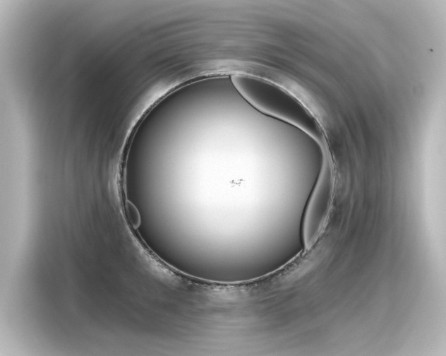 X0000116160901200911301559