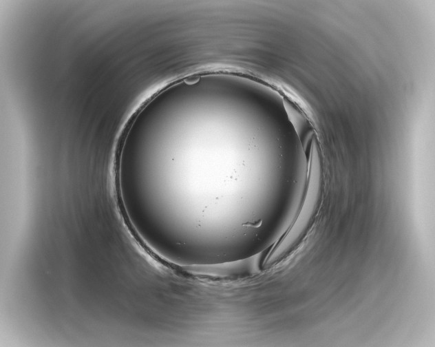 X0000116160902200911301559