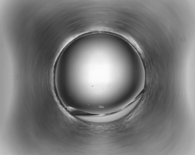 X0000116160903200911301558