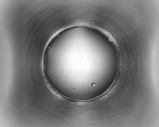 X0000116160904200911301558