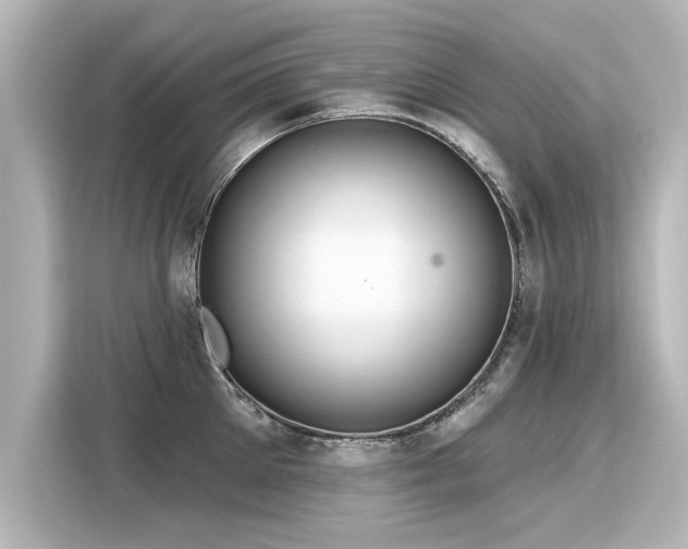 X0000116160905200911301558