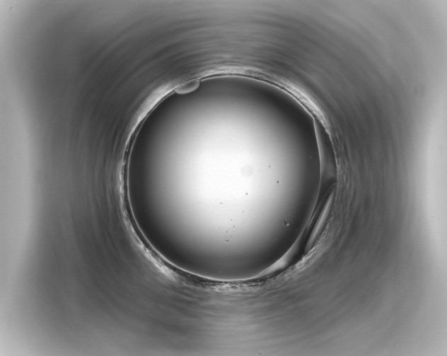 X0000116160906200911301558