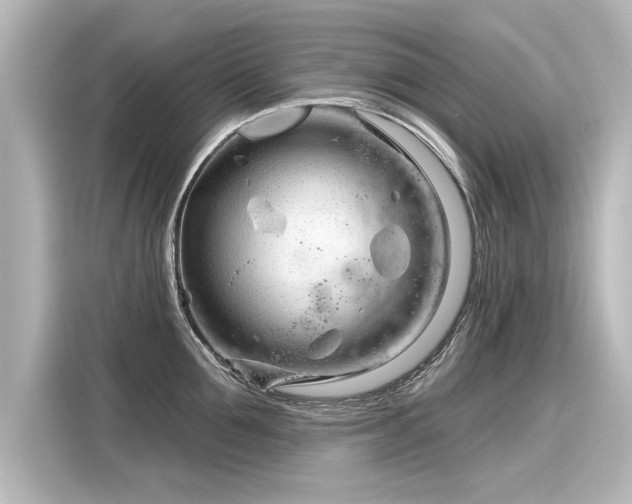 X0000116160907200911301558