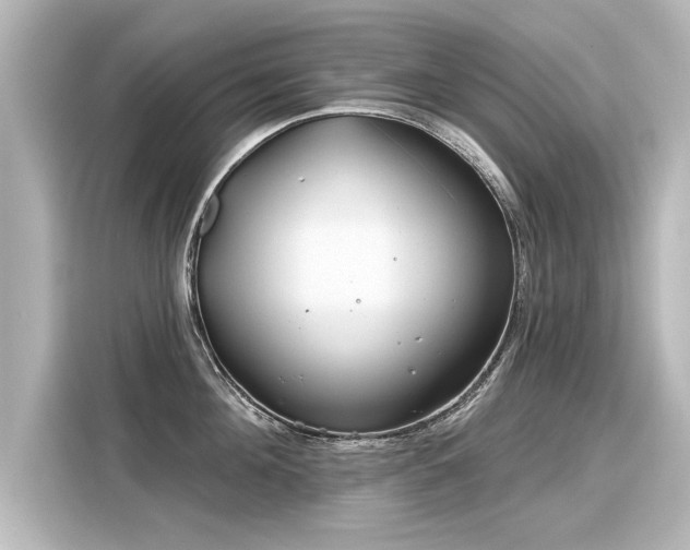 X0000116160908200911301558