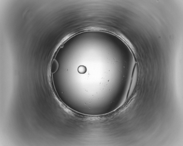 X0000116160909200911301558