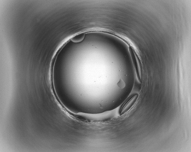 X0000116160910200911301558