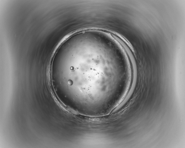 X0000116160911200911301558