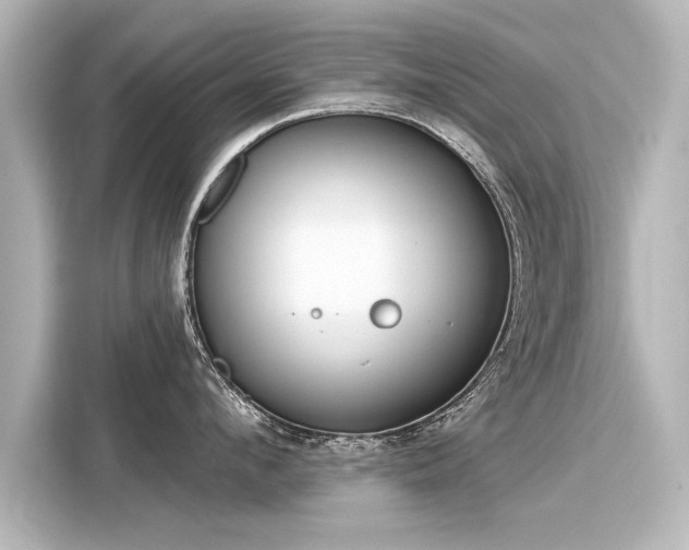 X0000116160912200911301558