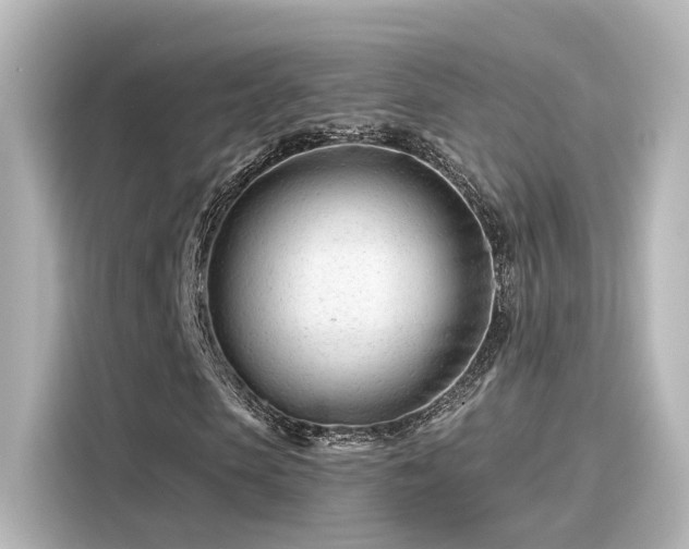 X0000116160913200911301558