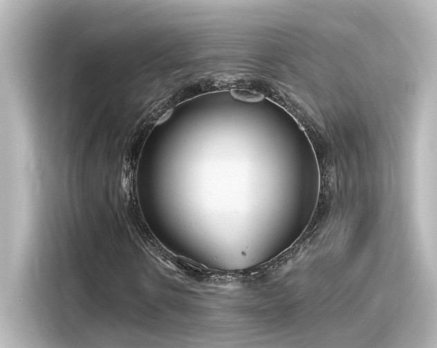 X0000116160914200911301558