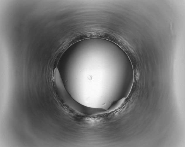 X0000116160915200911301558