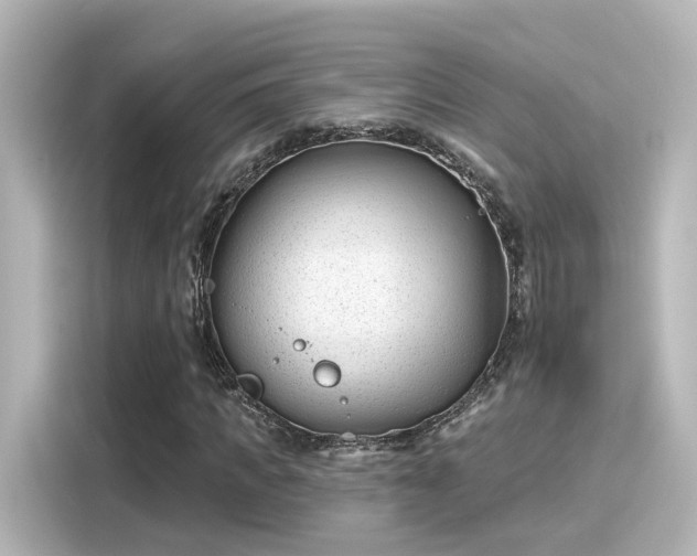 X0000116160917200911301558