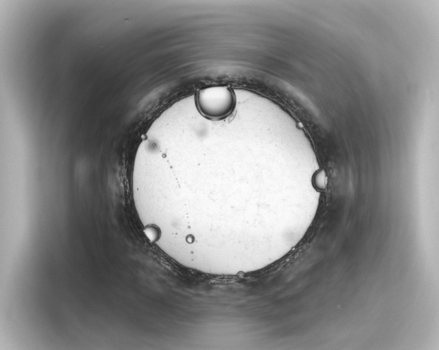 X0000116160918200911301558