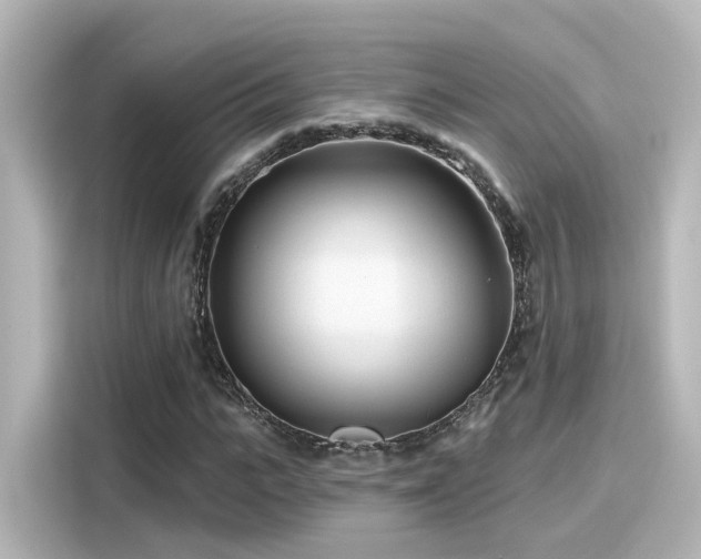 X0000116160919200911301558