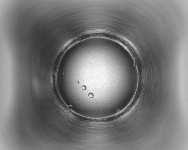 X0000116160921200911301558