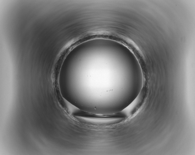 X0000116160922200911301558