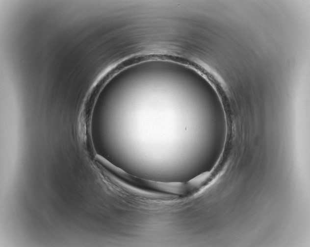 X0000116160925200911301558