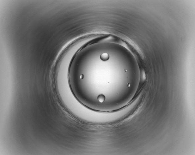 X0000116160926200911301558