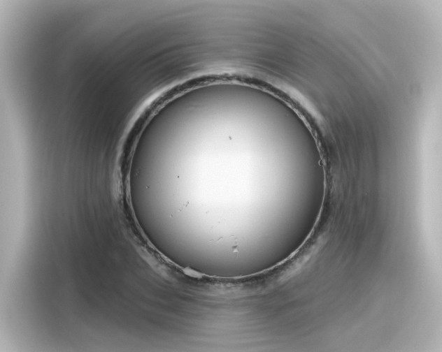 X0000116160927200911301558