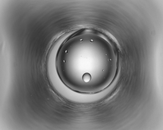 X0000116160930200911301558