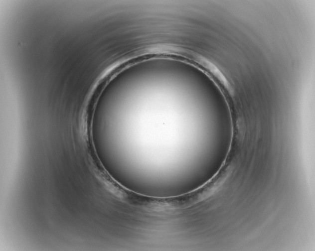 X0000116160931200911301558