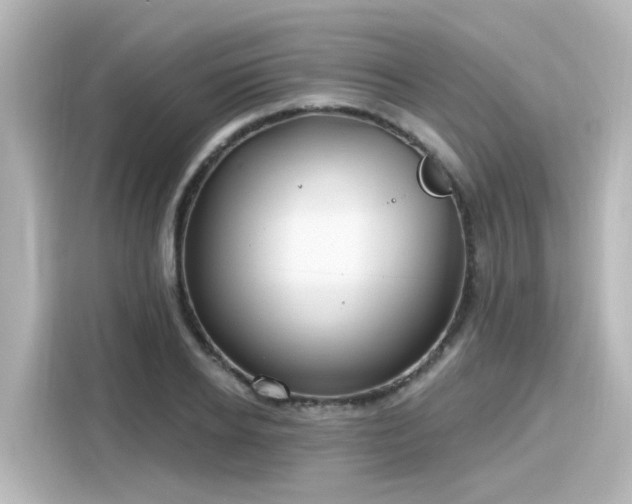 X0000116160934200911301558