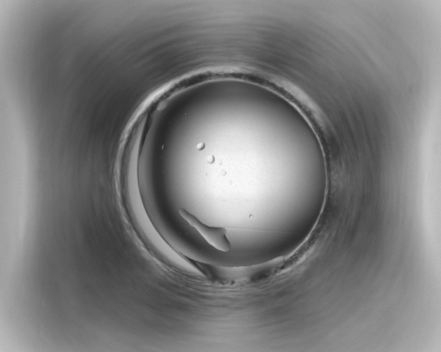 X0000116160935200911301558