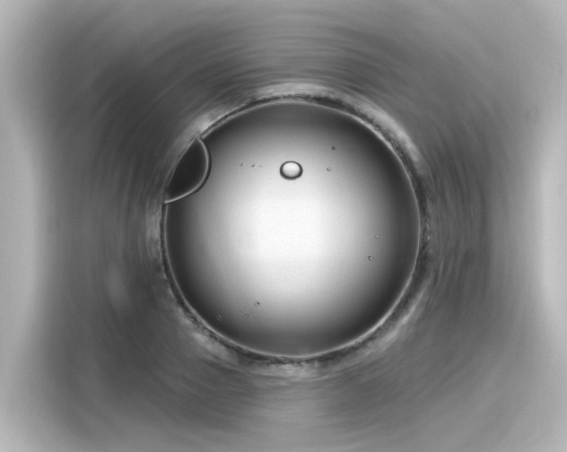 X0000116160937200911301558