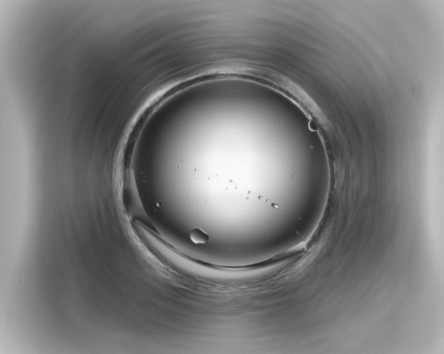 X0000116160939200911301558