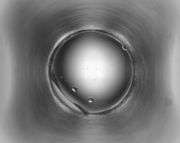 X0000116160942200911301558