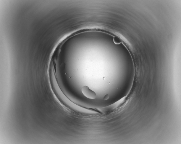 X0000116160943200911301558