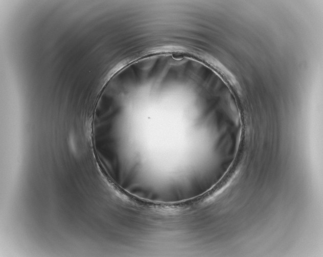 X0000116160945200911301558