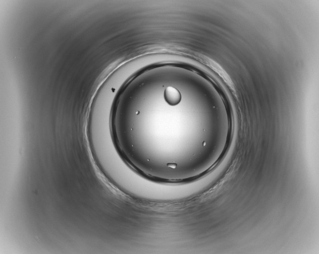 X0000116160946200911301558