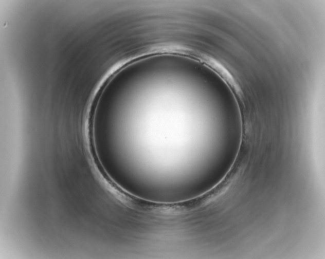 X0000116160947200911301558