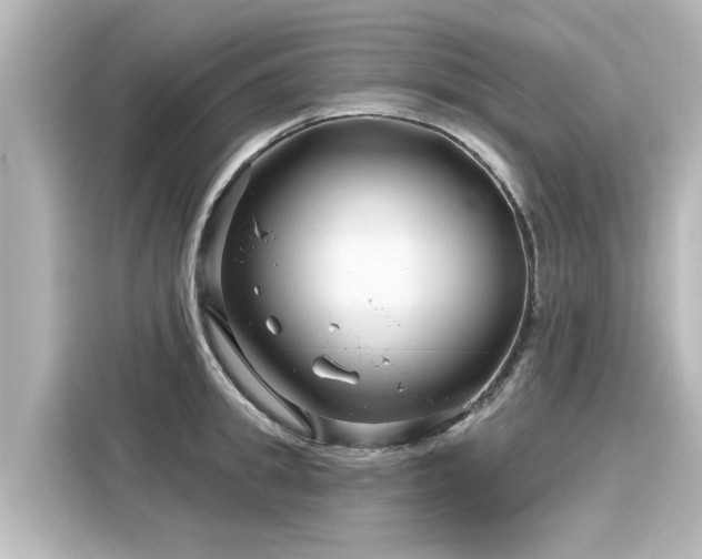 X0000116160949200911301558