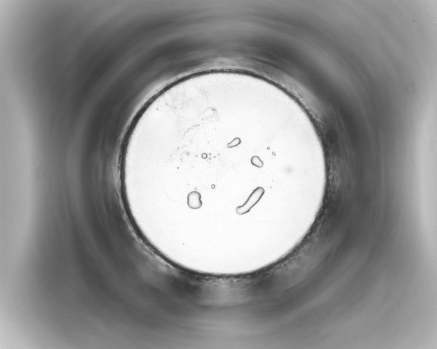 X0000116160950200911301558