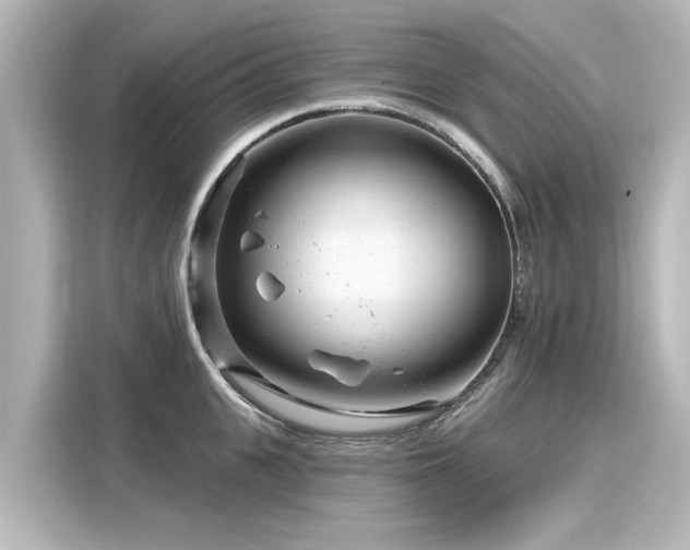 X0000116160951200911301558