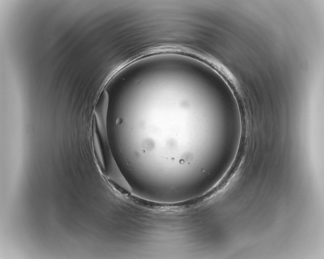 X0000116160953200911301558